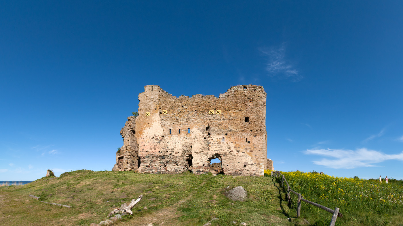 Toolse ordulinnus