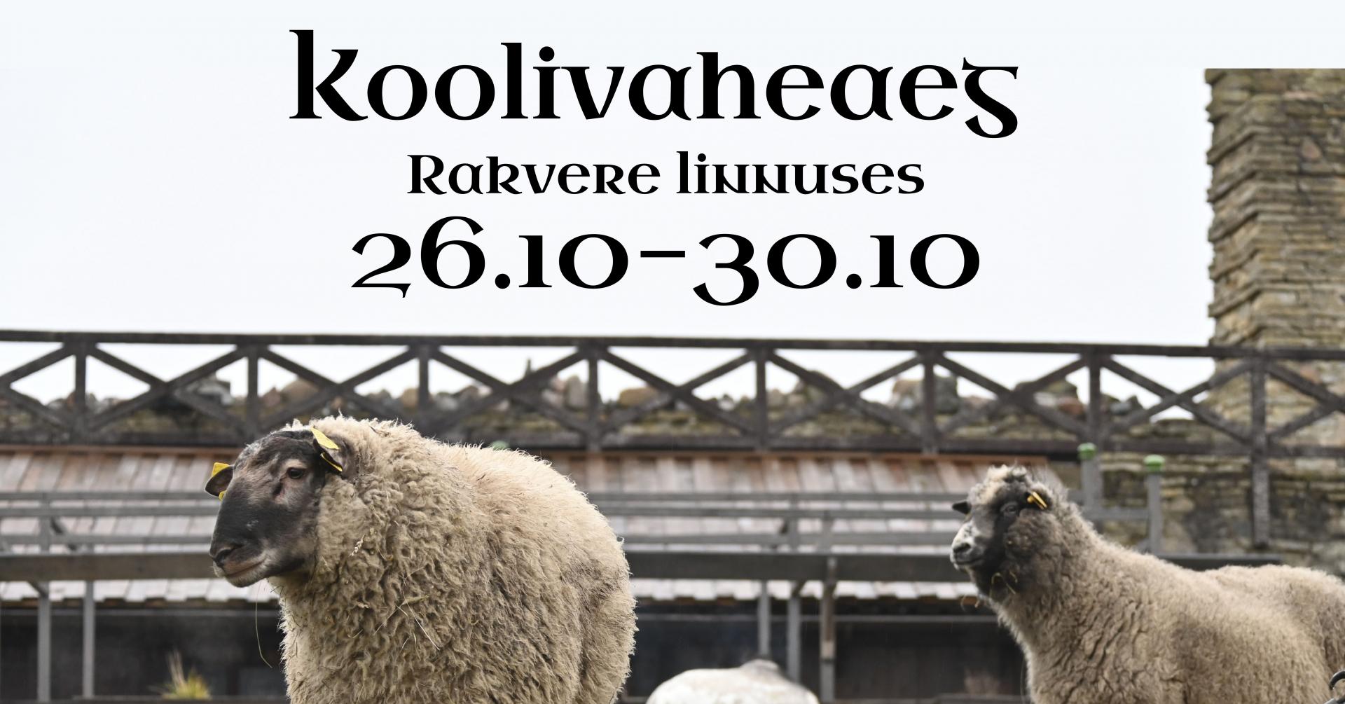 Rakvere linnuse loomad