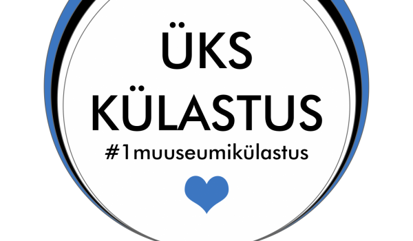 Ükskülastus