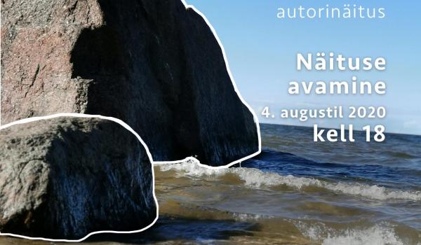 Teet Suure näituse avamine
