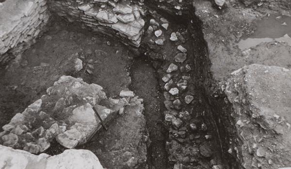 Aastail 1989-1991 toimusid arheoloogilised väljakaevamised Rakvere Teatrimäel, kus avanesid 16. sajandi alguses ehitatud Miikaeli ehk Mihkli kloostri varemed ja nende alt keskaegsete hoonete jäänused.